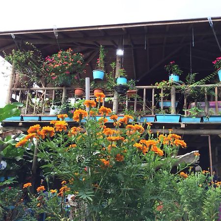Wood House Hostel La Fortuna Exterior photo